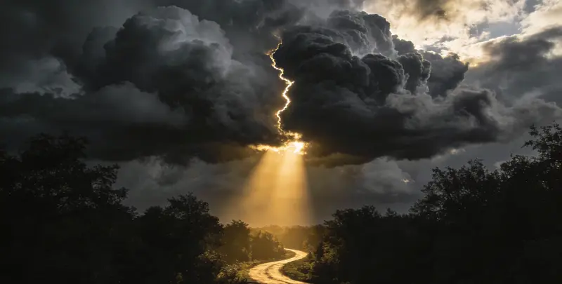 肺癌49基因检测图3