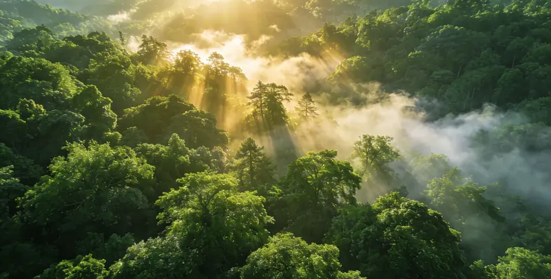 晋城肺癌12基因ctDNA突变检测(血液）图片1