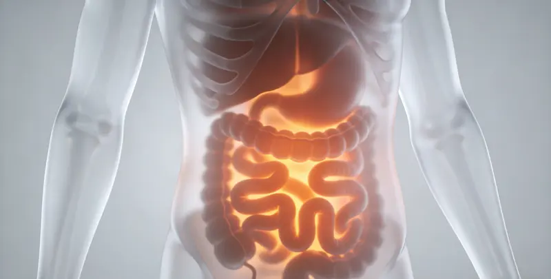 胃癌全面用药基因检测（组织）图2